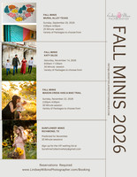Mini Sessions